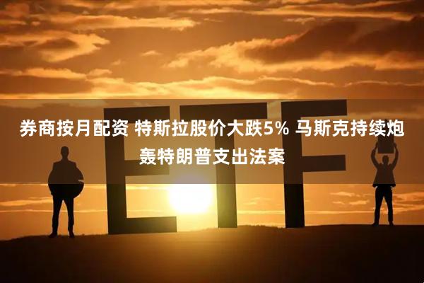 券商按月配资 特斯拉股价大跌5% 马斯克持续炮轰特朗普支出法案