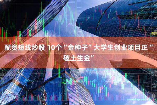 配资短线炒股 10个“金种子”大学生创业项目正“破土生金”